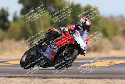 media/Mar-10-2024-SoCal Trackdays (Sun) [[6228d7c590]]/11-Turn 7 (130pm)/